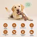 2 Pack Dog Toys for Aggressive Chewers Interactive Indestructible Dog Toys to Keep Them Busy Frozen Treat Toy for Large & Medium Dogs, Reduces Anxiety, Tree Stump & Corn Shapes