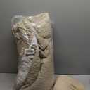 palassio Dark Beige 100% Cotton Quilt Queen Size Bedding Sets with 2 Pillow Shams, Textured Lightweight Soft Bedspread Shabby Chic Coverlet, Quilted Comforter Bed Cover for All Season, 3 Pieces (Queen(90"x96")