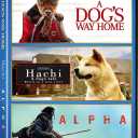 Alpha (2018) / Dog's Way Home, a / Hachi: A Dog's Tale - Set [DVD]