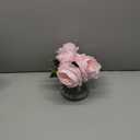 Hollyone Pink Roses Peonies Artificial Flowers with Glass Vase Silk David Austin Roses Faux Flowers Arrangements with Clear Faux Water in Vase Fake Peonies Rose Peony Floral Bulk Bouquet Home Decor
