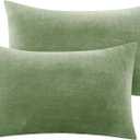 BEDELITE Flannel Pillowcases Standard Set of 2, Super Soft Fleece Pillow Case Cover with Zipper for Bedroom, Sofa, Couch,Luxury Cozy Velvet Pillow Shams for All Seasons(20x12 Inches, Sage Green)