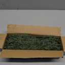 Watayo 60 Pcs Christmas Artificial Pine Branches with Red Berry Stems, 10.5" Faux Evergreen Norfolk Pine Cypress Leaves Stems, Fake Foliage Pine Needles Picks for DIY Craft Garland Home Decor