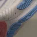 Brooks Womens Glycerin 22 Neutral Running Shoe (9.5 Wide, Blue Ribbon/Peacoat/Dianthus)