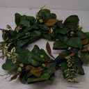 24 IN Eucalyptus Wreath