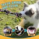 Dog Rope Toys for Small-Medium Dogs. 18 Pack for Teeth Cleaning, Chewing, Training Balls and Squeaky Toys. Best for Entertainment, Interaction,Tug of War Indoor and Outdoor.