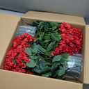 QIANYUN Artificial Geranium Bush  20 Inch Outdoor Potted Artificial Plant for Front Porch, UV Resistant Faux Flower Bush for Garden, Yard & Patio Decor (2 Pack) (Red)