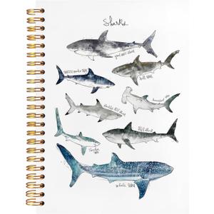 BearCake Shark Gifts Ocean Shark Notebook Journal for Shark Women, Shark Desk Accessories, Shark Office Supplies, Shark Items for Shark Lovers, Beachy Notebook, Hardcover Spiral Notebook 5.5x8.3 (white-children-shark)