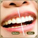Miswak Sticks for Teeth Pack of 16 - Vacuum Sealed Traditional Sewak Natural Miswak Toothbrush - for Healthy Teeths,Gums and Fresh Breath
