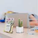 2 x Floral Desk Calendar with Stand Flower Themed Table Calendar for Home Office 12 Months Standing Flip Calendar for Daily 8x4 Inch