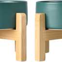 SPUNKYJUNKY Ceramic Elevated Dog Bowls 2 Pack - 8.3inch Raised Dog Bowls with Non-Slip Wooden Stand for Large Dogs Dishwasher Safe (Green,60OZ*2)