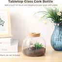 54 oz Glass Fish Bowl Vase with Cork Lid, Clear Bubble Planter Vase Globe Flower Centerpiece, 3 Inch Open Mouth Round Terrarium Vase, 6 Inch Diameter x 5 Inch Height