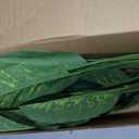 Nearly Natural 42in. Dieffenbachia Artificial Plant (Real Touch)
