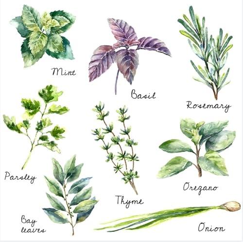 Herb Wall Decals Stickers Peel and Stick,Kitchen Stickers Decals for Cabinet Peel and Stick,Herb Art Decor for Kitchen