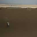 Radiator | Compatible with Ford Expedition F-150 F-250 F-350 Super Duty Lincoln Navigator 4.6L 5.4L V8 | Compatible with 2165 2589 FO3010145 F75H8005JB F75H8005KB F75HJB