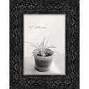 New View 5x7 inch Picture Frame - Black Pendleton