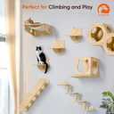 Cat Wall Shelves Furniture for Climbing - Cat House Wall Mounted - Indoor Wooden Floating Furniture - Different Models Including Shelves, Perches, Hammock, Bed, Bridges, Walkways