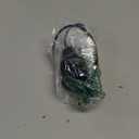 Electric Bike LED Headlight 24V 36V 48V 52V Bike Front Light with Built-in Horn 4 Lights 3 Pin Connector for Night Riding Waterproof Bicycle Horn Light for E-Scooter (Headlight)