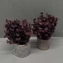 Coferset 2 Pack Small Fake Plants Eucalyptus Potted Artificial Plants Fall Decorations for Home Shelf Office Bathroom Desk Farmhouse Room Coffee Table Decor Halloween Decor (Plum)