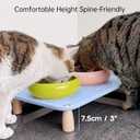 2 x Large Elevated Cat & Dog Bowl Stand,3 inch Height Raised Feeder Compatible with Most Automatic Pet Feeders & Water Fountains, Anti-Slip & Spill-Proof Large Pet Food Tray,17 x 12 Inches (Blue)