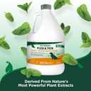 Vets Best Flea and Tick Yard and Kennel Spray Natural Yard Treatment for Fleas, Ticks and Mosquitoes Plant and Pet Safe Outdoor Spray with Certified Natural Oils Made in USA 96 oz Refill