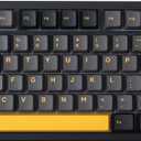 GK GAMAKAY TK75PRO Aluminum Alloy Mechanical Keyboard Gasket Mounted, Hot Swappable KTT Hyacinth Switch 2.4GHz Wireless BT5.0 USB-C 75% Cherry 81 Keys Custom RGB Backlit Gaming Keyboard (Black)