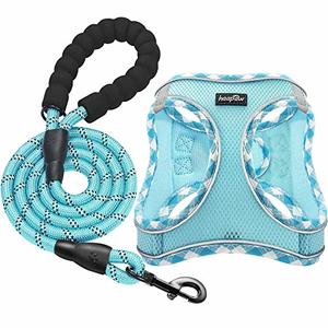 haapaw Dog Harness with Leash Set, No Pull Adjustable Reflective Step-in Puppy Harness with Thickened Padded Vest for Small Dogs, Turquoise