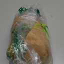 EASYLR 12inch Cute Capybara Plush with Turtle Backpack, Soft Capybara Plushie Toy Doll Pillow Birthday for Kids (with Bag)