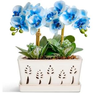 BUYMAX 10 Inch Rectangle Ceramic Orchid Pots with Holes, Heavy Duty Handmade Ceramic Plant Pot with Drainage and Saucer, Accommodate 2 Orchids, Enhance Good Ventilation White
