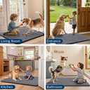 Smiry Dog Door Mat for Muddy Paws 36x24, Absorbs Moisture and Dirt Doormat, Non-Slip Washable Quick Dry Chenille Front Door Mat Indoor Entrance, Entryway Carpet for Inside Floor, Dark Grey