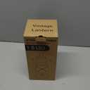 Vintage LED Hurricane Lantern, Warm White Battery Operated, Antique Metal Hanging Lantern with Dimmer Switch, 15 LEDs, 150 Lumen for Indoor or Outdoor Use (Copper)