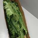 CQURE 50" Large Fake Fern Artificial Ferns for Outdoors,96 Fronds Realistic Artificial Boston Ferns Bush Plant for Indoor Garden Porch Decor (Lifelike,UV Resistant,No Maintenance)