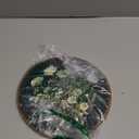 XNXLDYLH Vintage Floral Botanical Round Framed Wall Art Decor, Retro Cottage core Antique Wildflower Bedroom Hanging Wall Decor Decorations, Nature Flower Canvas Prints Wall Art Paintings, 10x10 Inch