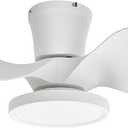 ocioc Quiet Ceiling Fan with LED Light 22 inch Large Air Volume Remote Control for Kitchen Bedroom Dining Room Patio (White)