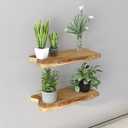 WELLAND 16 Cedar Natural Edge Floating Shelf Set of 2
