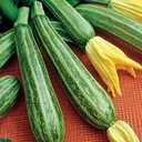 9 x 30+ Seeds Cocozelle Zucchini - Vegetable Green