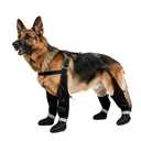 BillionChains Dog Boots with Adjustable Suspender, Anti-Slip Dog Shoes, Waterproof Paw Protector for Rainy, Snowy, Hot Pavement, XL
