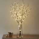 LITBLOOM Lighted Brown Willow Branches 32IN 100 LED with Timer Battery Operated, Tree Branch with Warm White Lights for Holiday Christmas Decoration Indoor Outdoor Use