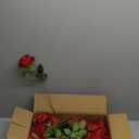 Hananona 50 Artificial Roses in Bulk, Fake Velvet Silk Burgundy Roses Realistic Red Roses for Wedding Centerpieces Flower Arrangement Home Decor (50, Burgundy)
