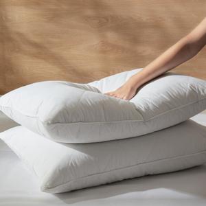 Three Geese White Goose Feather Cotton Pillows Queen Size Set of 2 - Soft 600 Thread Count Organic Cotton Cover, Soft Goose Feather Down Pillows for Side and Back Sleepers, 20x28inches
