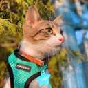 rabbitgoo Cat Harness and Leash for Walking, Escape Proof Soft Adjustable Vest Harnesses for Cats, Easy Control Breathable Reflective Strips Jacket, Emerald, M