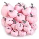 DomeStar 18PCS Pink Pumpkins for Decoration, Artificial Pumpkins Small Pink Foam Pumpkins Assorted Sizes for Wedding Thanksgiving Farmhouse Table Decor