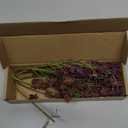 3 Pcs Fall Artificial Soft Plum Sedum Berry Stem Autumn Faux Berry Picks Branches Faux Spray for Home Halloween Thanksgiving Farmhouse Mantel Harvest DIY Decorations (16 Inch)