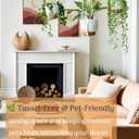 Bouqlife Hanging Planters with Macrame Plant Hangers for Indoor Outdoor Plants 3 Set Self Watering Pots Hanging Baskets Flower Pot Holders 3 Different Size