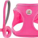 Hipubby Dog Harness and Leash Set, No Pull Soft Mesh Puppy Harness for Small Medium Dogs, Cats - Step in Reflective Breathable Lightweight Vest Harness for Walking, Training - Rose Red, XXS 