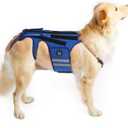 Coodeo Dog Back Brace for Dogs Arthritis, Pet Back Bracer for IVDD, Back Protector Helps Pain Relief, Surgical Recovery and Rehabilitation, Dogs Back Disease Prevention. (Blue,Large)
