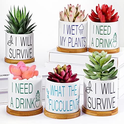 4 Pieces Succulent Pots Funny Sarcastic Succulent Cactus Planters Gifts for Grandma Friend 3.2 Inch with Drainage and Bamboo Tray White Ceramic Pot for Plants Garden Decorative (Fresh Style)