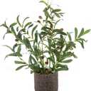 AlphaAcc 18 Inch Artificial Olive Branches Real Looking Potted Plant Fake Olive Tree with Lifelike Leaves and Fruits in Rustic Black Cement Planter Faux Greenery Plant for Indoor Outdoor Decor