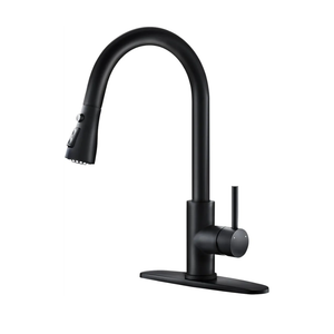 lack Kitchen Faucets with Pull Down Sprayer Kitchen Sink Faucet with Pull Out Sprayer Single Hole Deck Mount Single Handle Stainless Steel Grifos De Cocina 866068R
