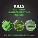 Spectracide Triazicide Insect Killer For Lawns, 10 Pounds, Granules Kill Listed Lawn-Damaging Insects, 4 Pack
