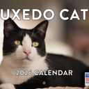 Tuxedo Cat Calendar 2026 Monthly Wall Calender 12 Month Gifts For Tuxedo Cats Lovers| American Made In The USA
